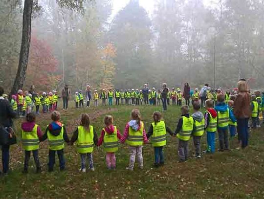 243 przedszkola w województwie opolskim uczą dzieci jak dbać o naturę 