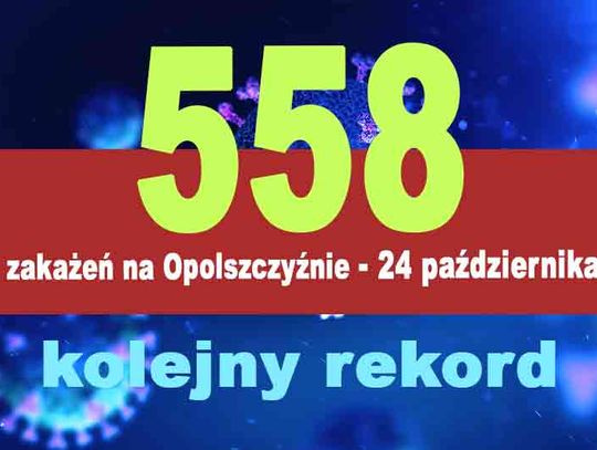 558 zakażonych na Opolszczyźnie. Nie żyje 11 osób