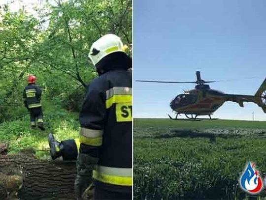 70-letni mężczyzna zginął zbierając chrust.