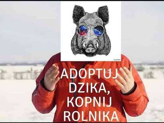 ASF adoptuj dzika, kopnij rolnika.