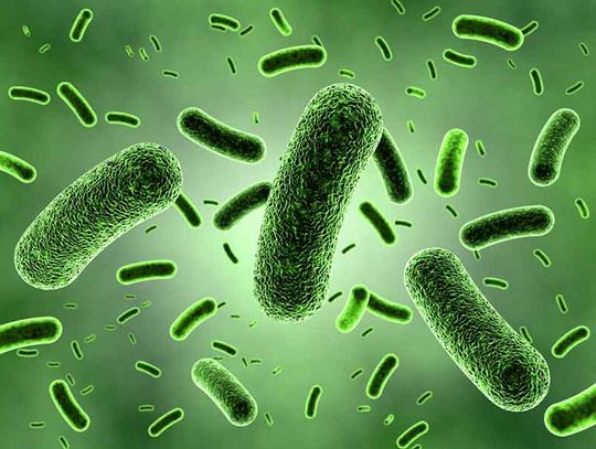 Biologiczna bomba w klimatyzacji samochodowej