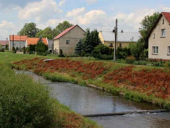 Dziwna ciecz płynąca rzeką od Czech w Jarnotłówku.