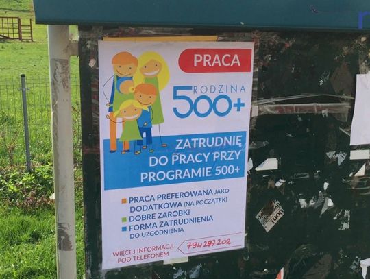 Jest praca dla każdego przy programie 500+? Zobacz jak to robią. 