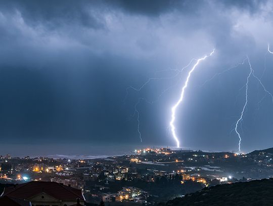 Koń rażony prądem na skutek zerwani linii energetycznej nie przeżył.