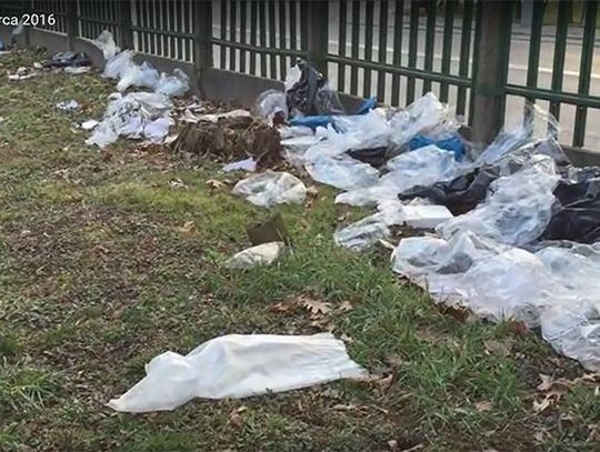  Latające sterty śmieci w parku przy stadionie miejskim.