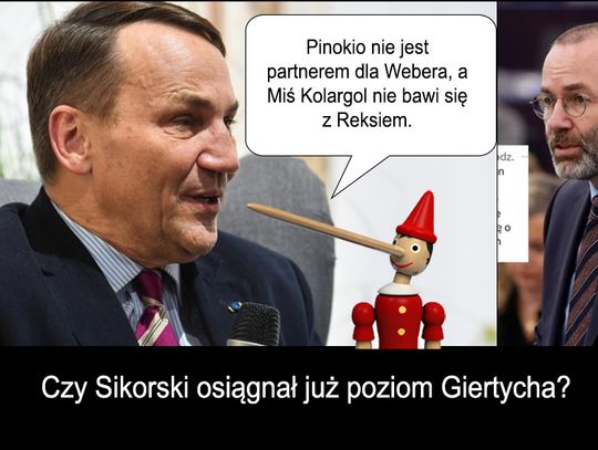 Niby dlaczego miałby się cenzurować tylko dlatego, że jest Niemcem" - mówi Sikorski.