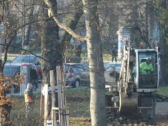 Plac Kopernika - nowe alejki, oświetlenie, nasadzenia...