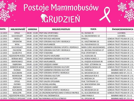 Postoje mammobusów w grudniu