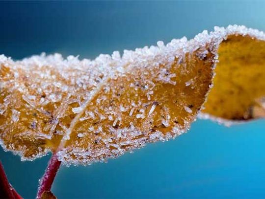 Temperatura może spaść nawet do 25 stopni poniżej zera.