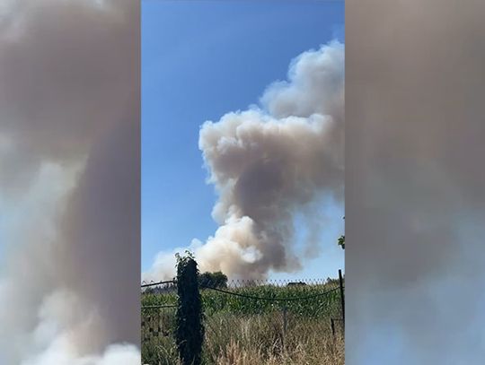 Wielkogabarytowy pożar zboża i ścierniska - Budzieszowice, Niesiebędowice, Myszowice - powiat nyski.