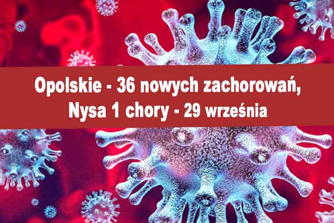 36 nowych przypadków w opolskim, najwięcej Kluczbork i Krapkowice, w Nysie 1 osoba - 29 września.