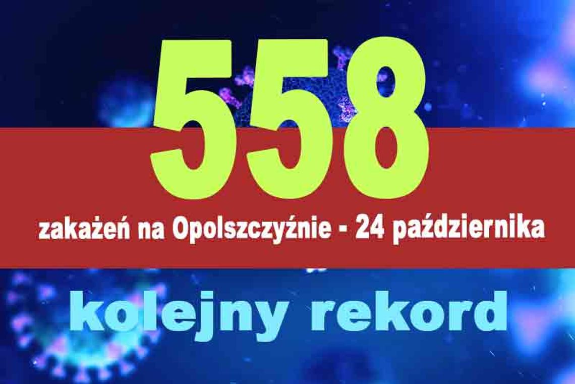558 zakażonych na Opolszczyźnie. Nie żyje 11 osób