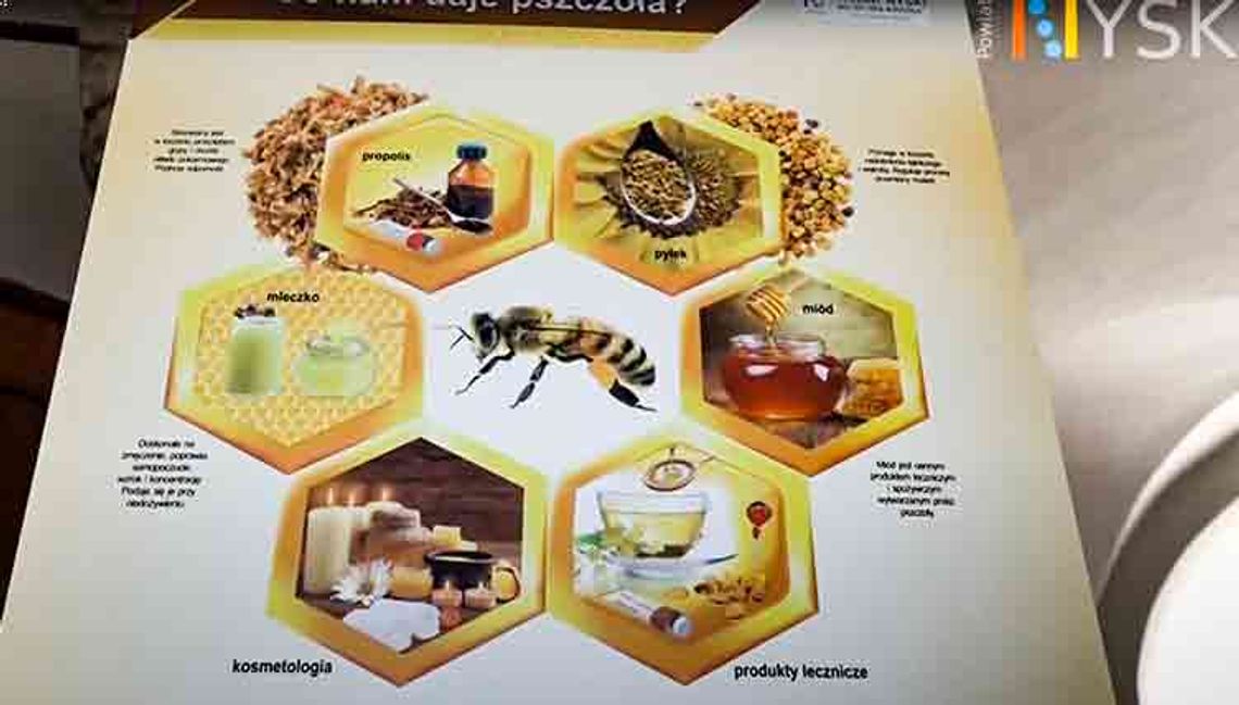 Pomagając pszczołom, pomagasz sobie!