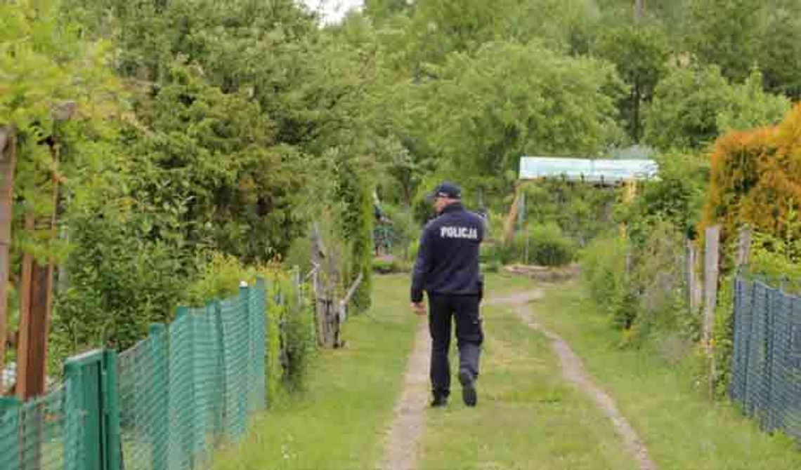 Przebywanie na terenie ogródków działkowych przez ich właścicieli nie jest zabronione - mówi policja.