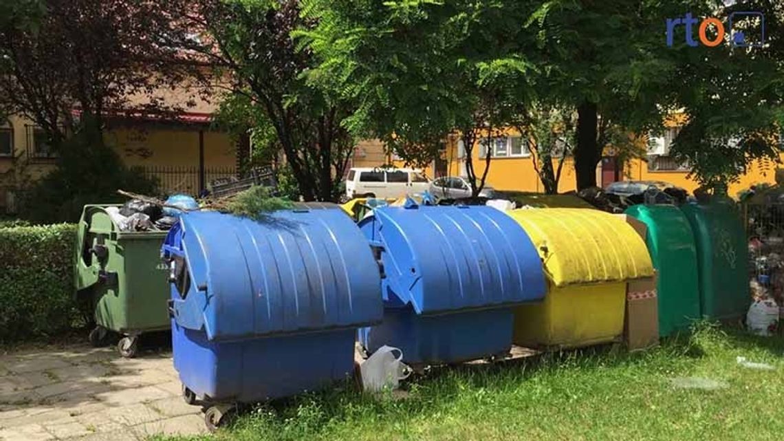 Śmieciowy problem podwórka przy samym rynku. Muchy, szczury, odór. Jak sobie z tym poradzić?