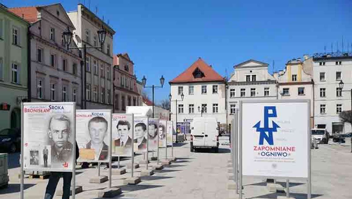 Wandal niszczył wystawę Instytutu Pamięci Narodowej w Paczkowie