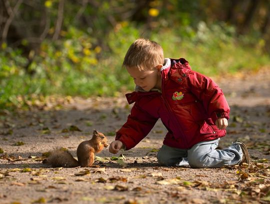 243 przedszkola w województwie opolskim uczą dzieci jak dbać o naturę 